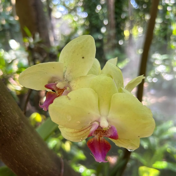 Meet your Posher, Maria - Picture 2 of 6